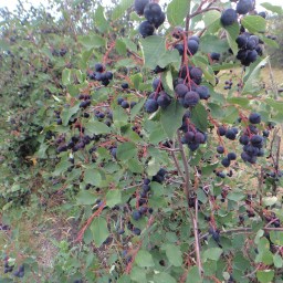 Time is of the essence!