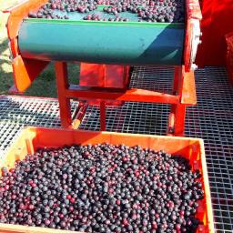 Procrastinators…now is the time!