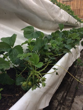 753aed16-8c64-49cc-9fbb-a7b12f71c5d9