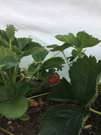 893d84f5-ce40-4718-a241-e5354fb3234e