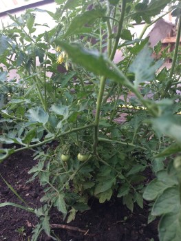 8efcaaa7-79dc-4638-b998-0f79ee60f375