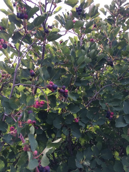 af698106-1bc9-41fb-9094-c6beba5d35ef