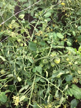 bd6db8a3-c8a6-41b0-8869-c7f9e924d367