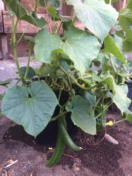 fab3dba5-4c78-4c22-96f6-8a41e3f841ba